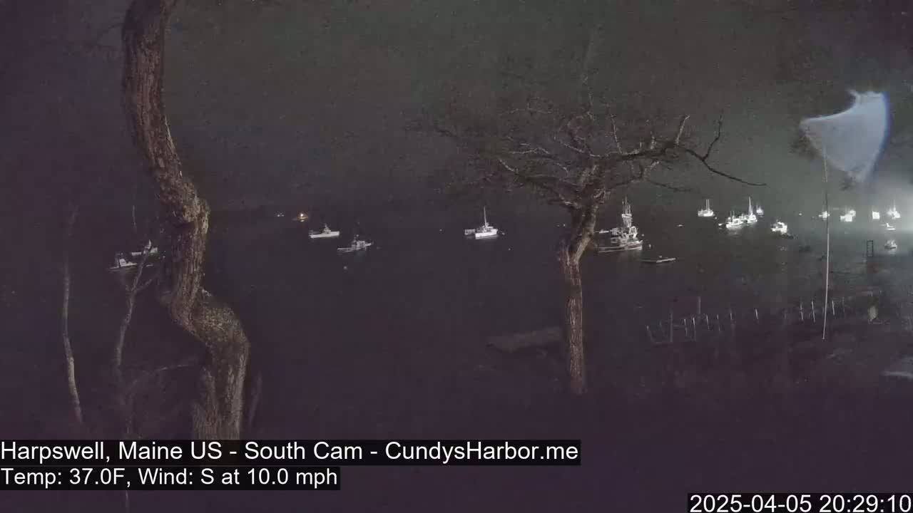 A nighttime view of a harbor with numerous boats at anchor under a dark, possibly overcast sky, with a moderate south wind.