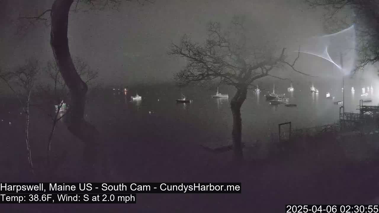 A nighttime, foggy view of a harbor with several boats at anchor, seen from a vantage point overlooking the water with trees in the foreground.