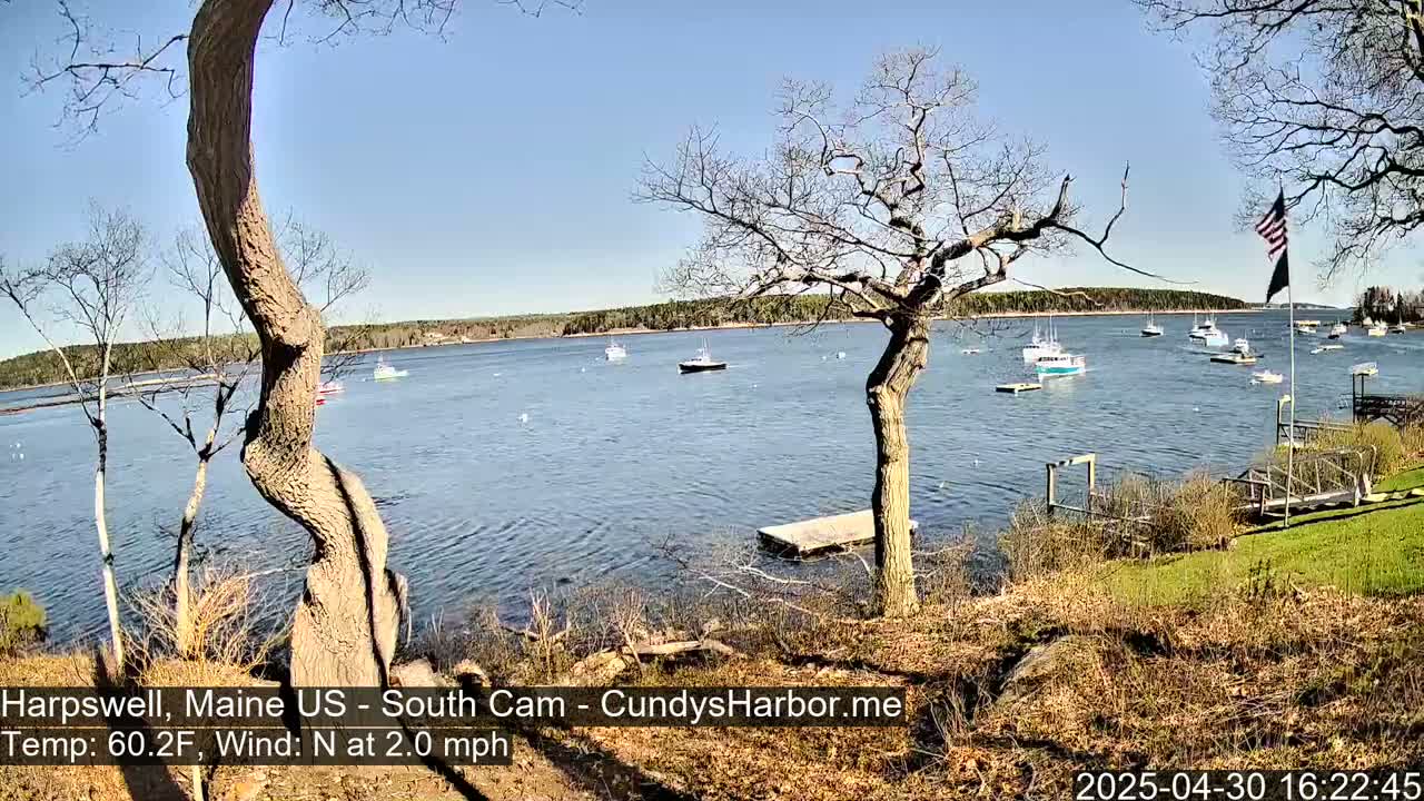 A calm, sunny day on a body of water with several boats, viewed from a shoreline with leafless trees and a grassy area.