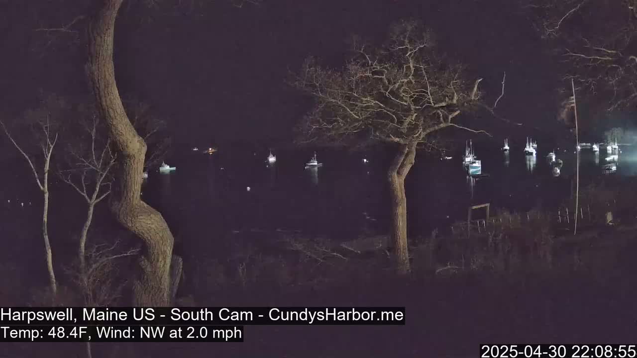 A nighttime view of a harbor filled with boats, seen from behind bare trees under a dark sky with a northwest wind.