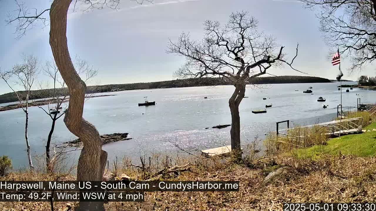 A tranquil harbor scene on a sunny day with a gentle wind, featuring several boats, bare trees, and a grassy shoreline.