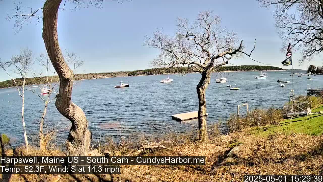 Several boats are moored in a calm body of water under a clear blue sky, viewed from a grassy shoreline with leafless trees.