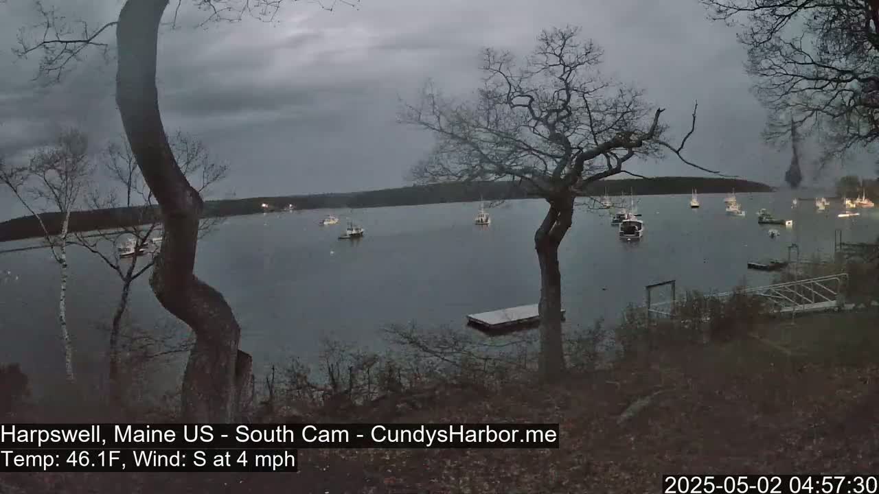 A calm, overcast body of water with several boats is viewed from a shoreline with bare trees under a gray sky.