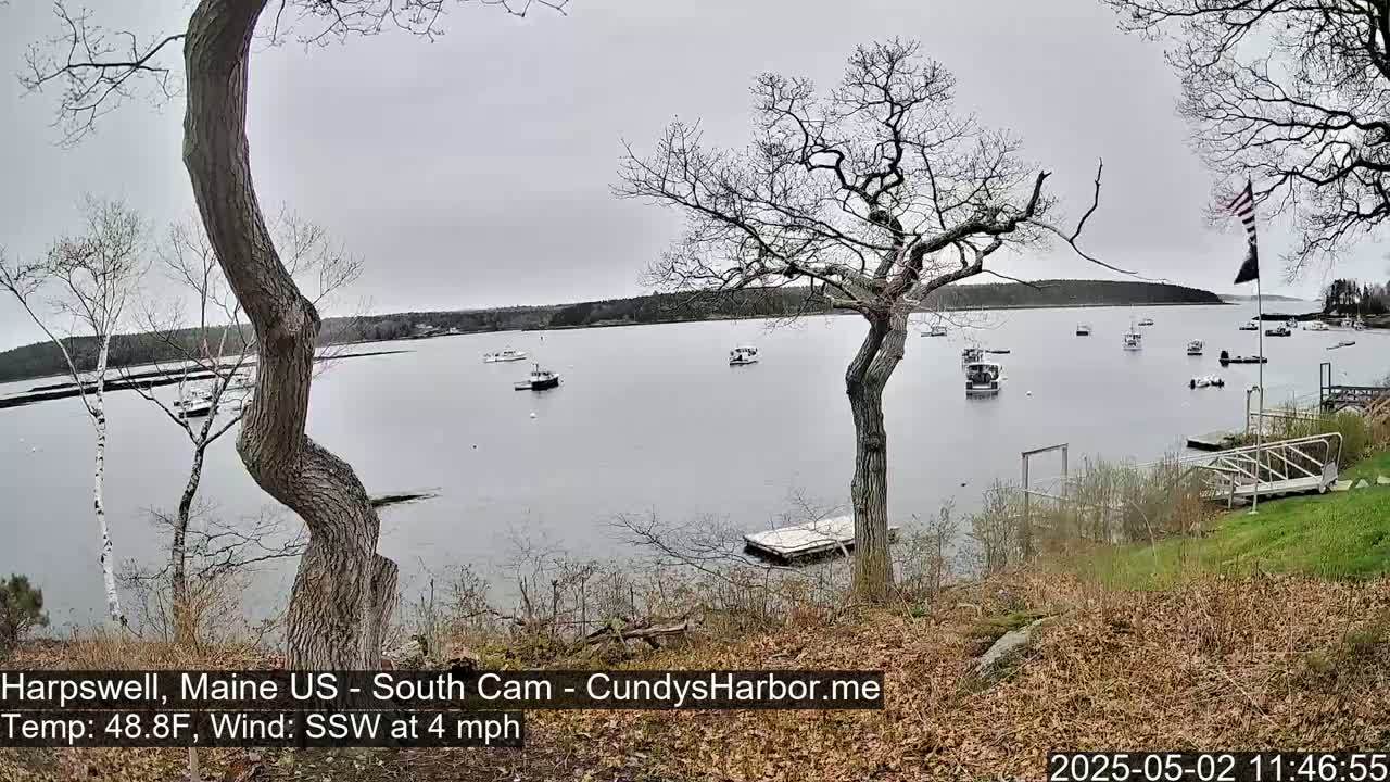 A calm, overcast day shows a view of a harbor with several boats and a shoreline with leaf-strewn ground and bare trees.