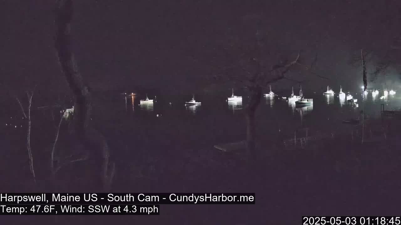 Several boats are moored in a dark harbor at night, under a mostly clear sky, with a gentle south-southwesterly wind.