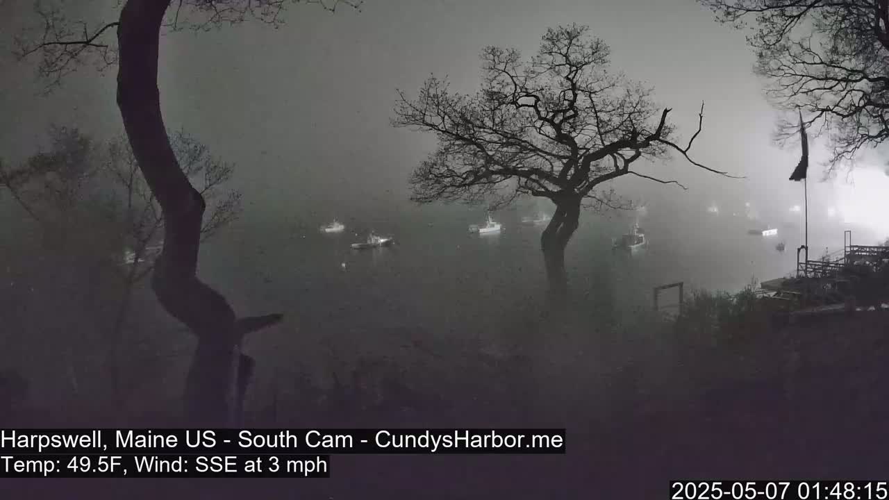 Several boats are visible on a foggy body of water at night, viewed from a vantage point amongst leafless trees.