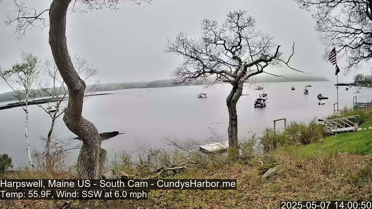 A calm, overcast day reveals a harbor dotted with boats, viewed from a grassy hillside with bare trees in the foreground.