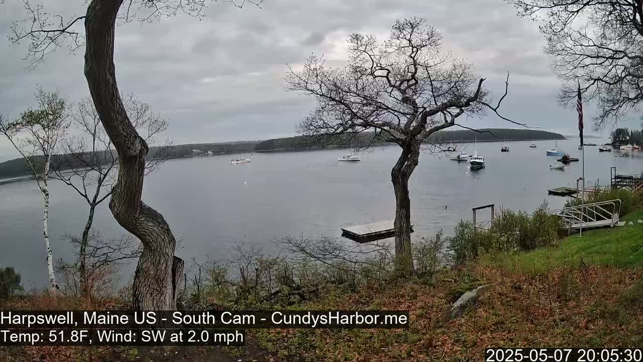 A calm, overcast day reveals a tranquil bay dotted with several boats, viewed from a grassy hillside with leafless trees in the foreground.