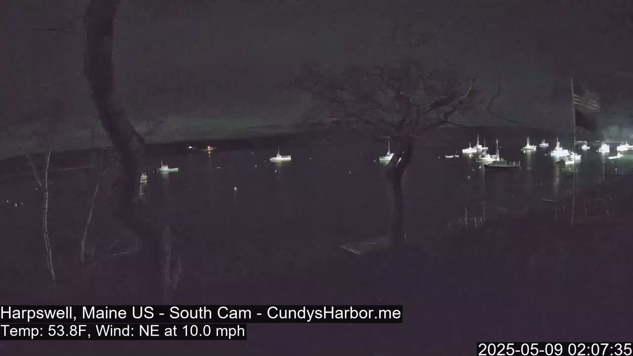 A nighttime view of a harbor with numerous boats, under a dark sky with a northeast wind.