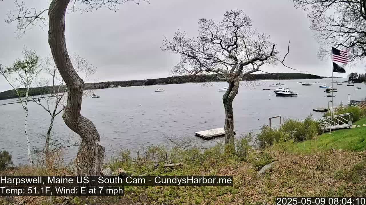 A calm, gray day shows a body of water with several boats, viewed from a grassy shoreline with trees, one of which is gnarled and curved.