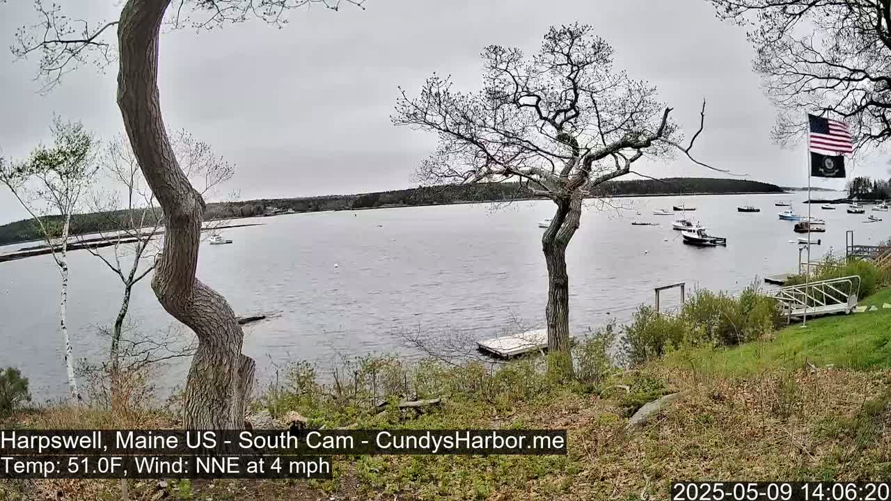 A calm body of water with several boats is seen from a grassy shoreline, under a cloudy sky, with leafless trees and an American flag in the background.