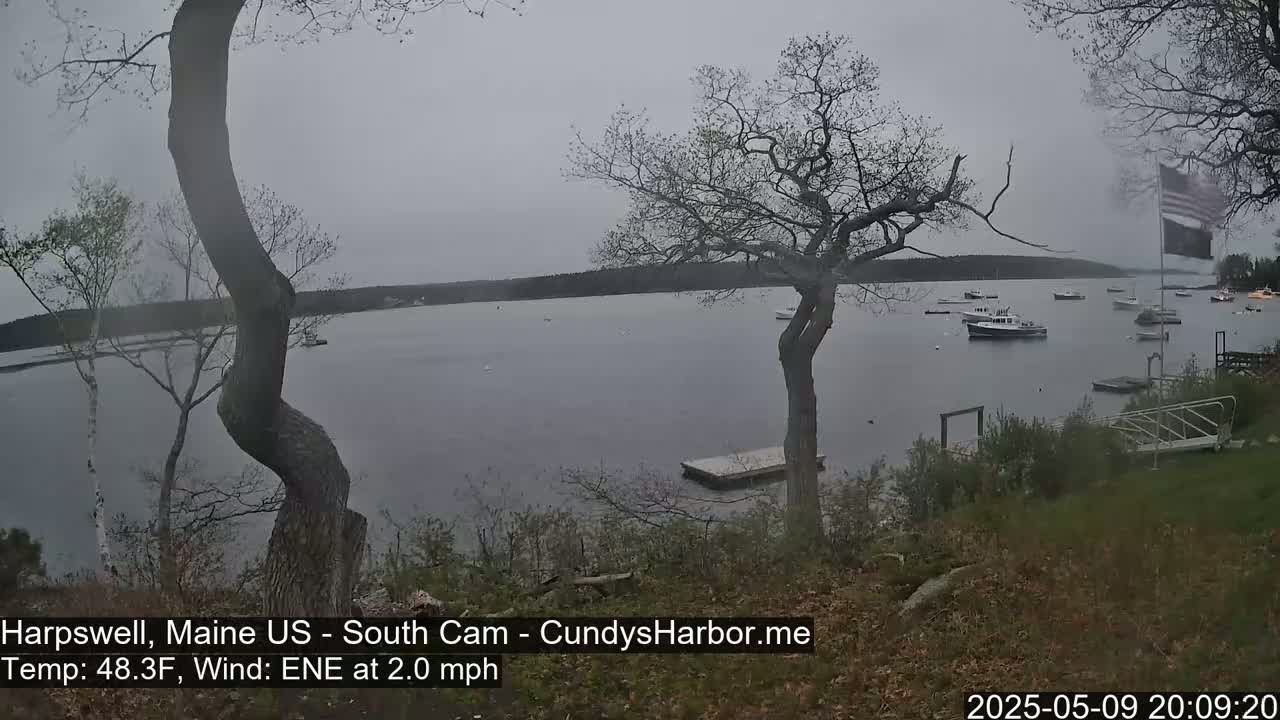 A calm, overcast day shows several boats moored in a bay, viewed from a grassy shoreline with trees in the foreground.