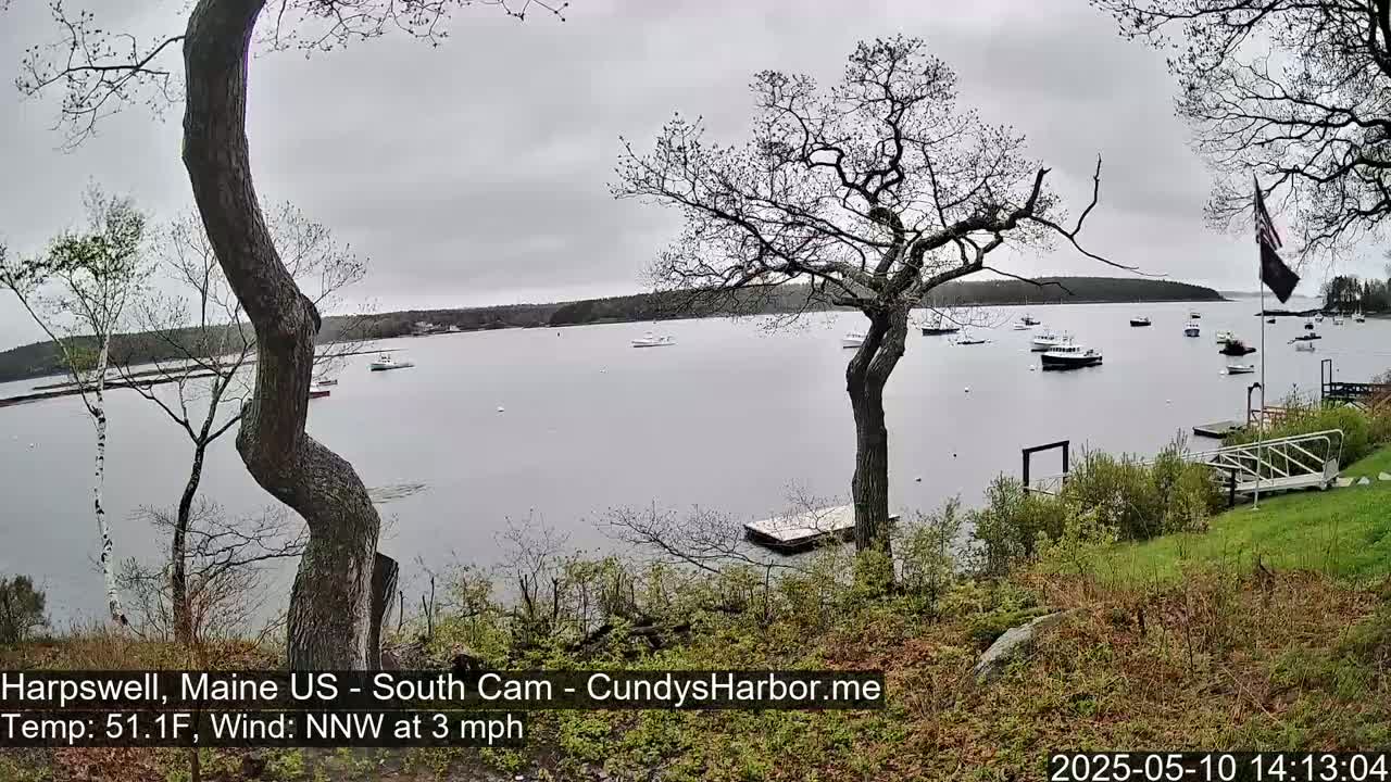 A calm, overcast day shows a body of water with several boats and a shoreline with trees and a small dock.