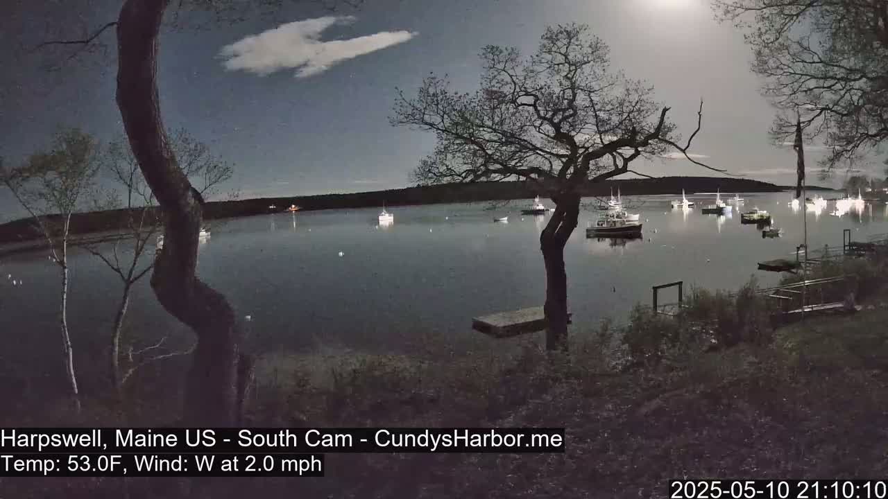 A moonlit night scene shows a calm body of water with numerous boats at anchor, viewed from a shoreline with bare trees and a small dock.