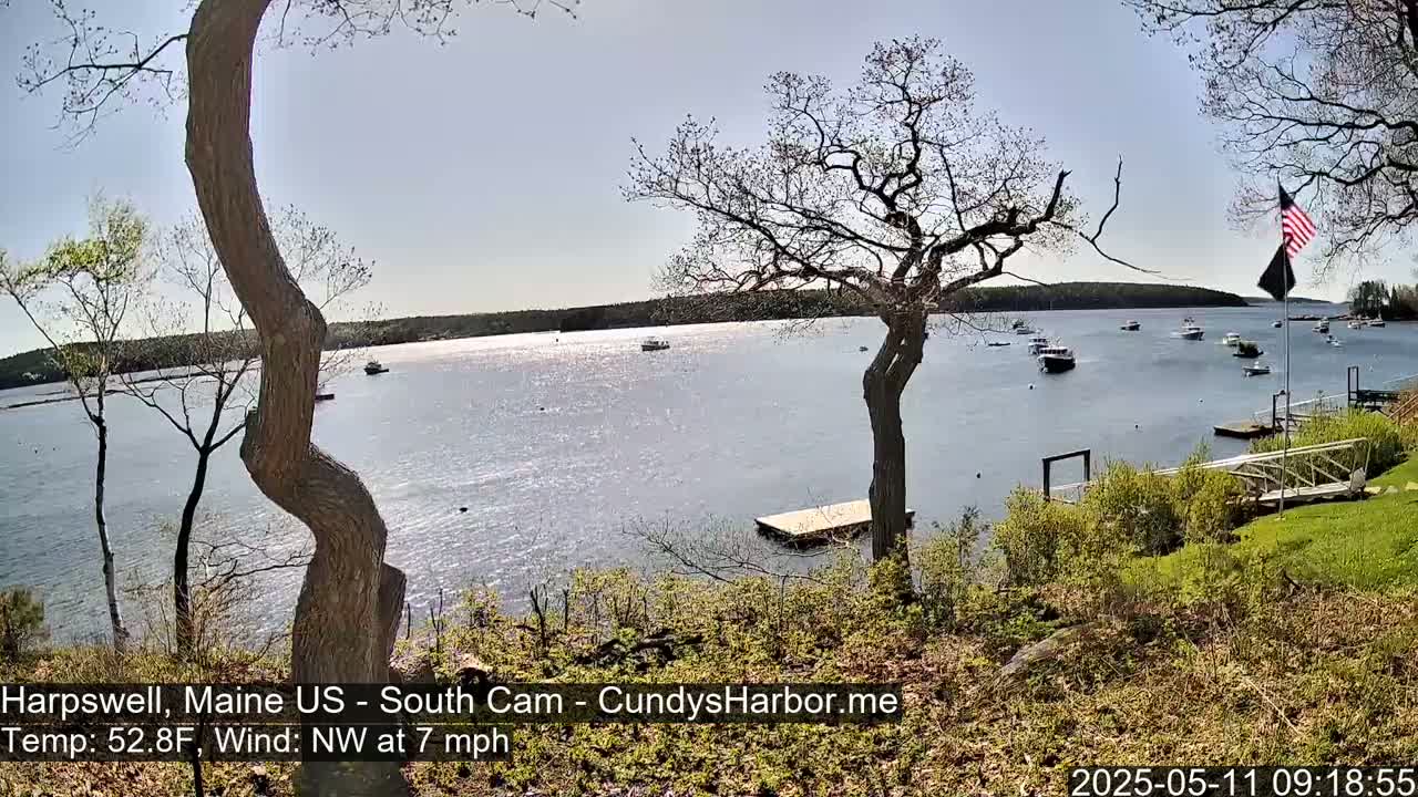 A calm, sunny day reveals a body of water dotted with boats, viewed from a shoreline with trees and a small dock, under a northwest wind of 7 mph.