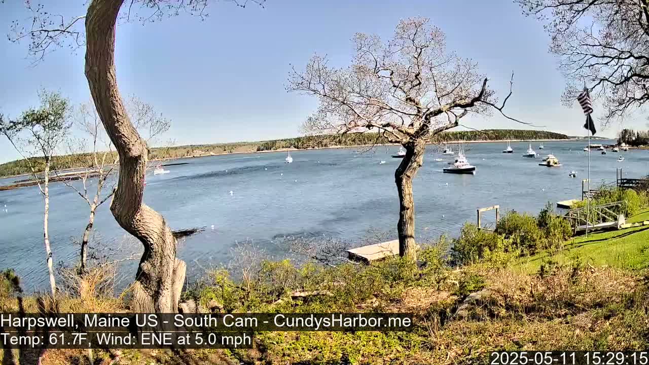 A sunny view of a calm harbor with numerous boats, seen from a grassy hillside with trees in the foreground.