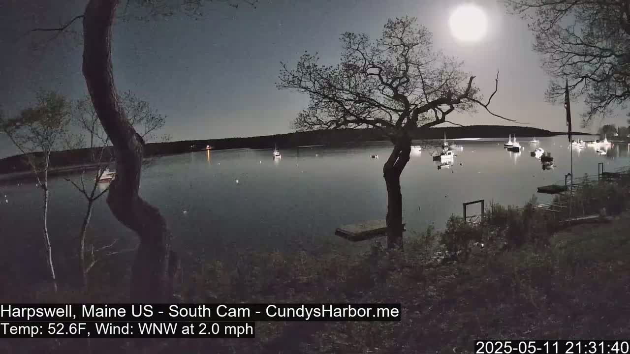 A moonlit night scene shows a calm body of water with several boats, viewed from a shoreline with trees and a small dock under a bright full moon and a light wind.