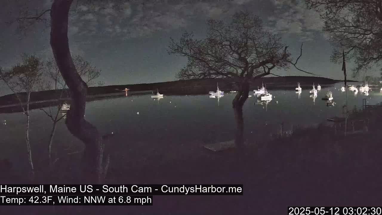Under a mostly cloudy night sky, several boats are moored in calm water, viewed from a shoreline with dark trees in the foreground.