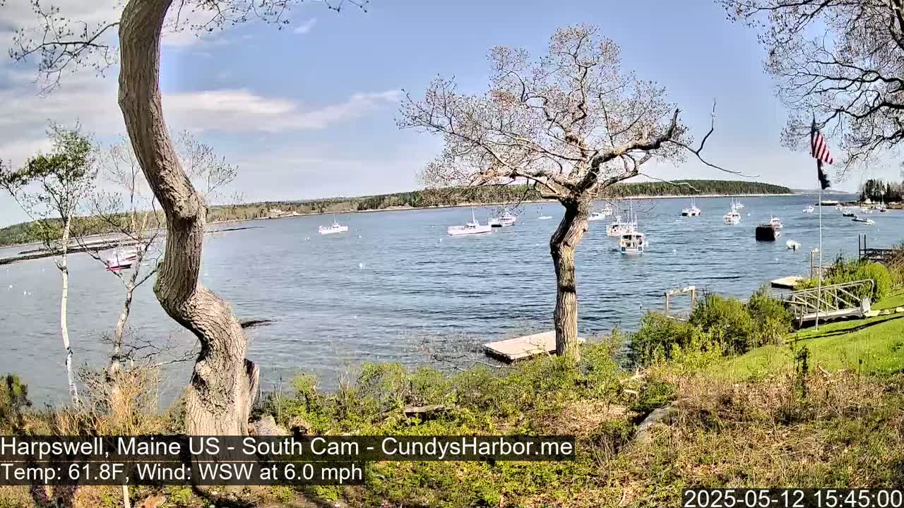 A calm body of water with numerous boats is viewed from a grassy shoreline on a partly sunny day with a light wind.