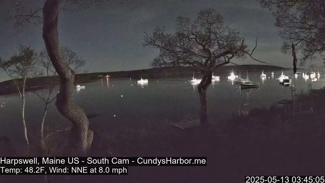 Numerous boats are moored in a calm body of water at night, under a dark sky, viewed from a shoreline with trees.