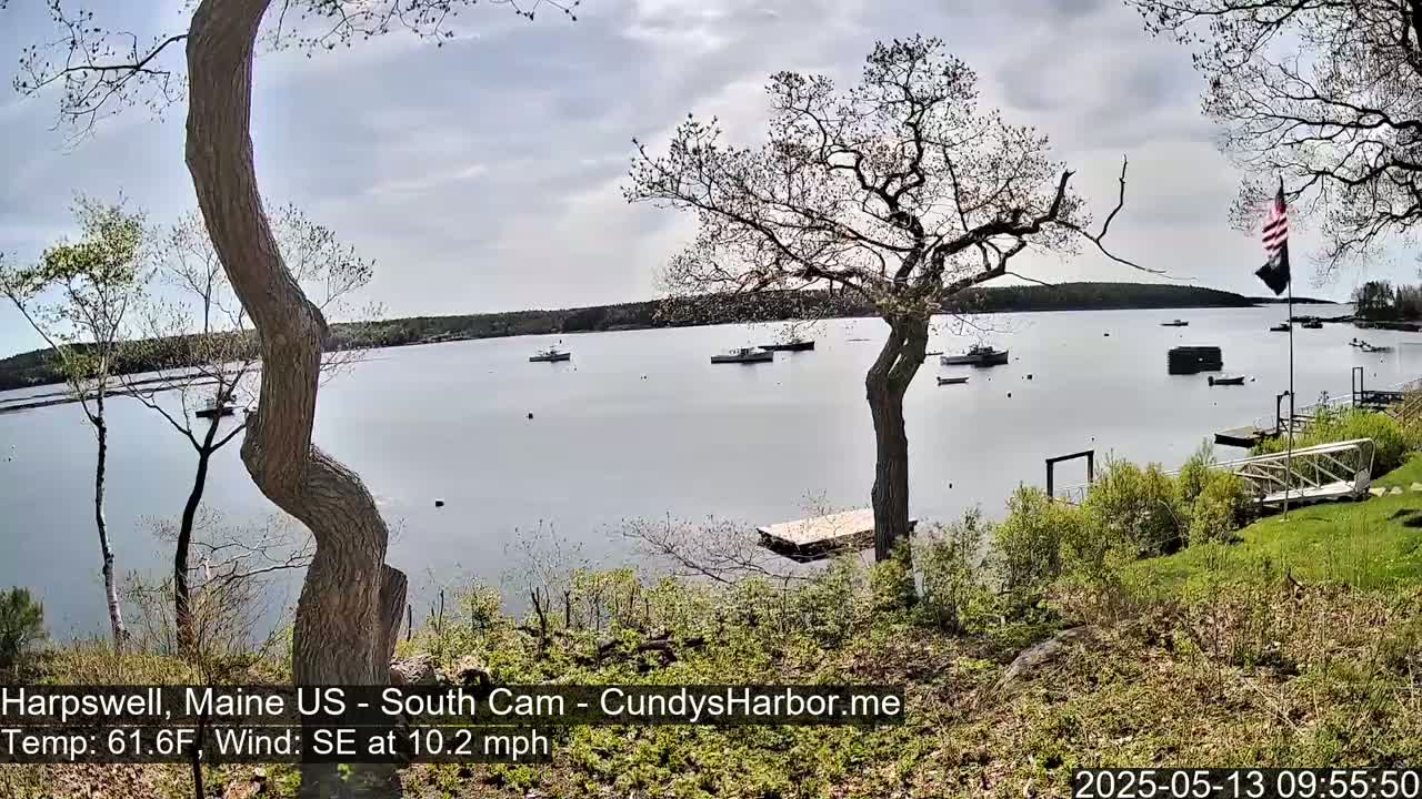 A calm, overcast day shows several boats in a harbor, viewed from a grassy shoreline with trees and a small dock.