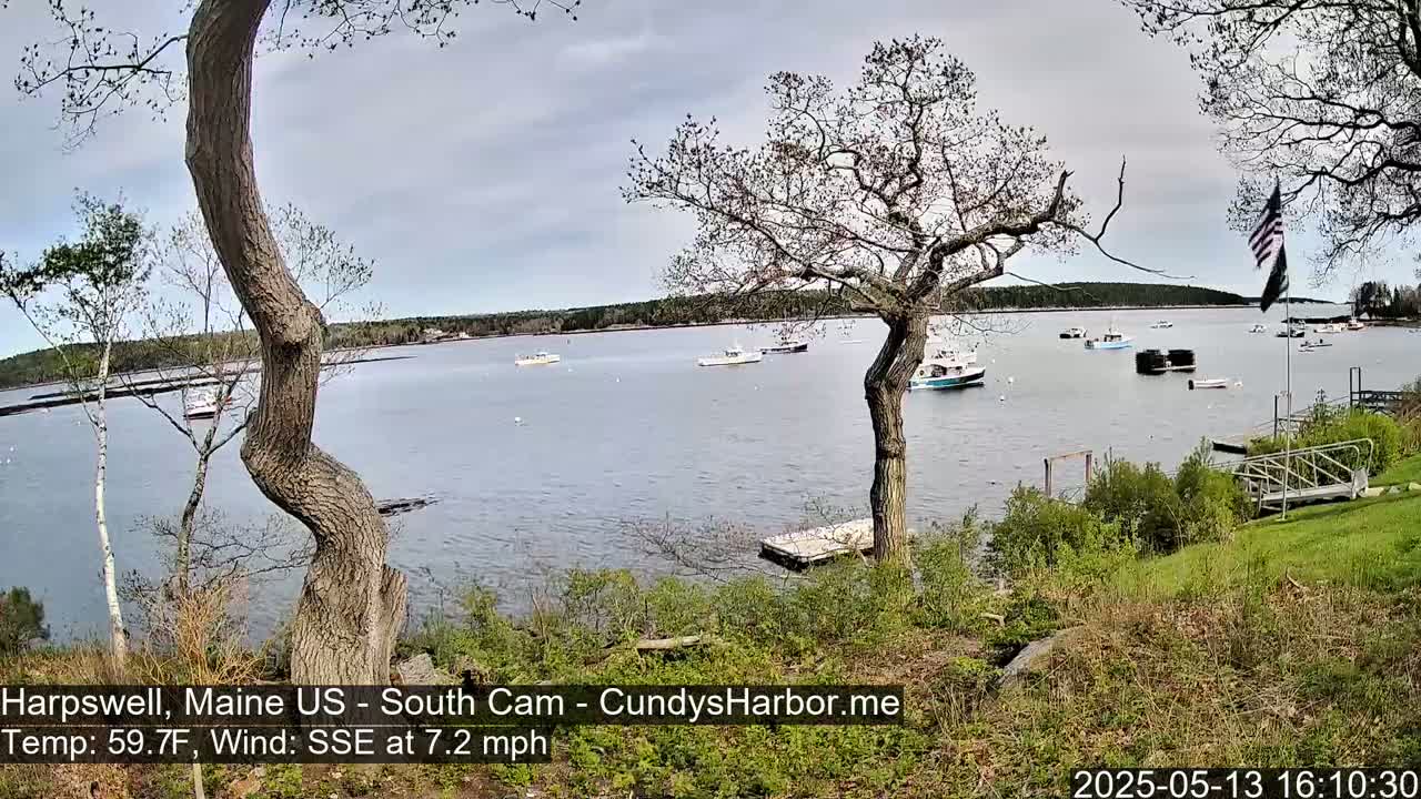 A calm body of water with several small boats is viewed from a grassy shoreline under a partly cloudy sky, with trees in the foreground.