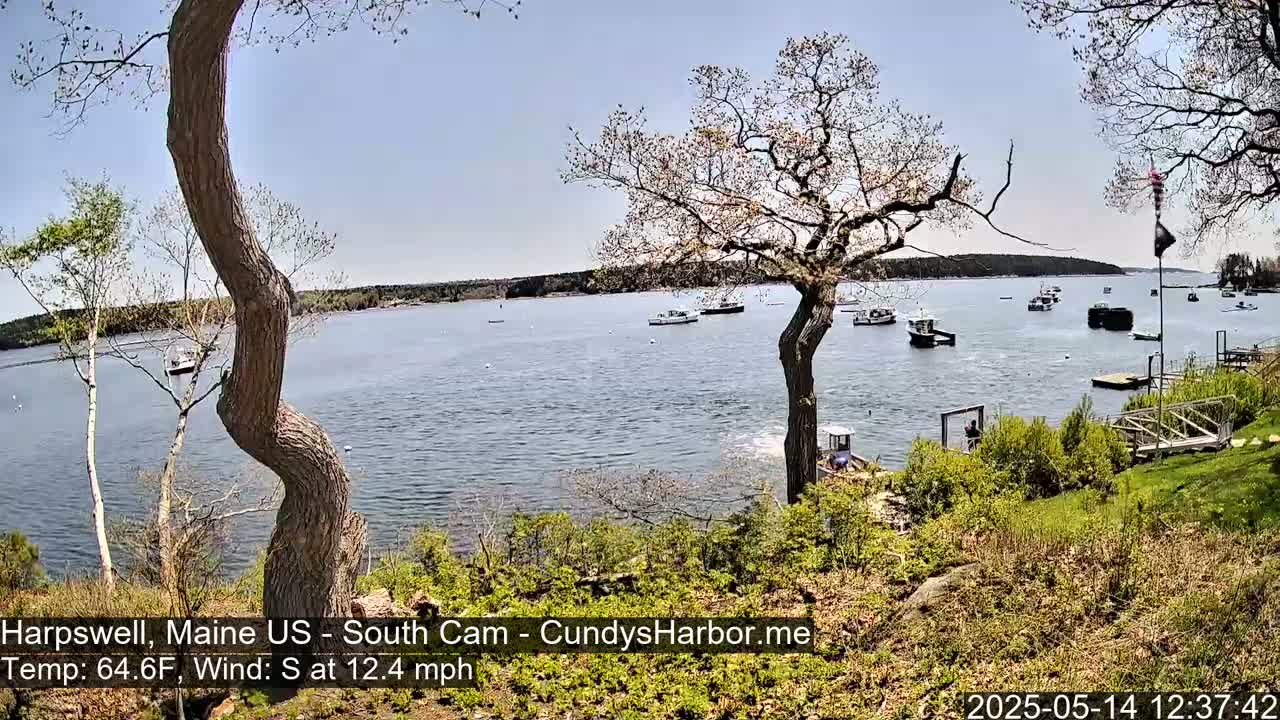 A calm body of water with several boats is viewed from a slightly elevated position on a sunny day with a south wind.