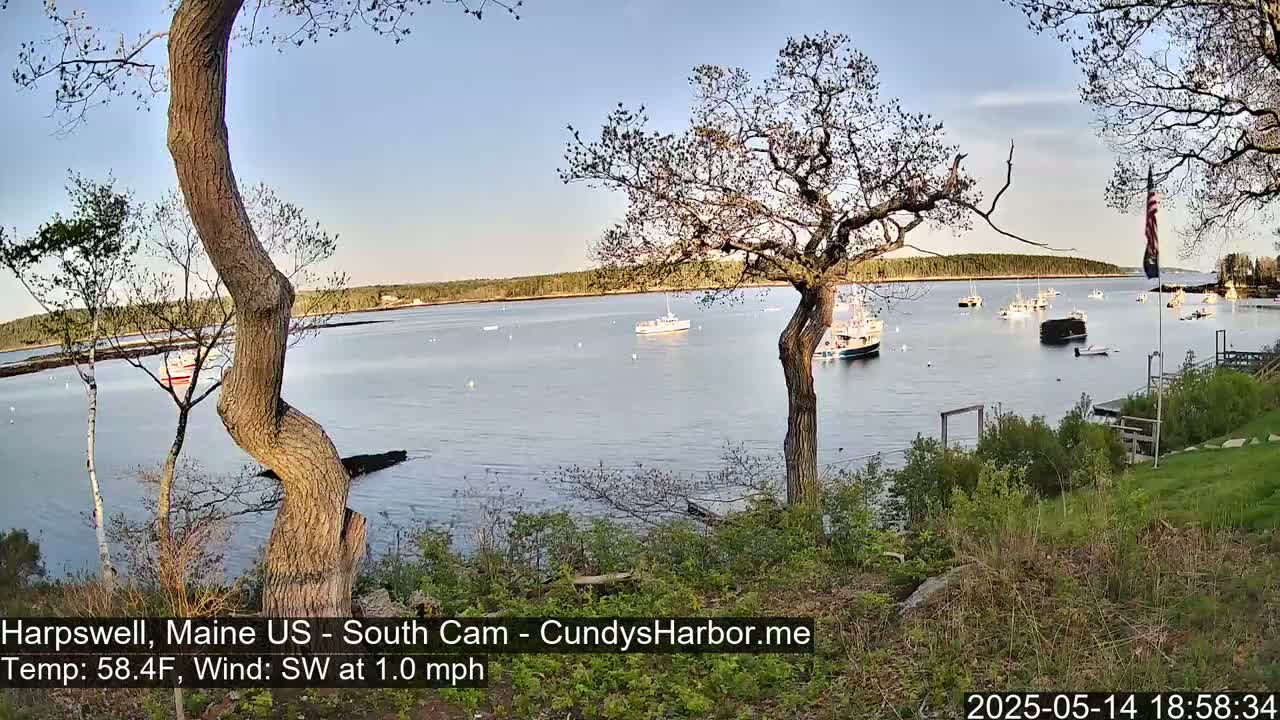A calm bay with several boats is seen from a grassy hill, under a partly cloudy sky.