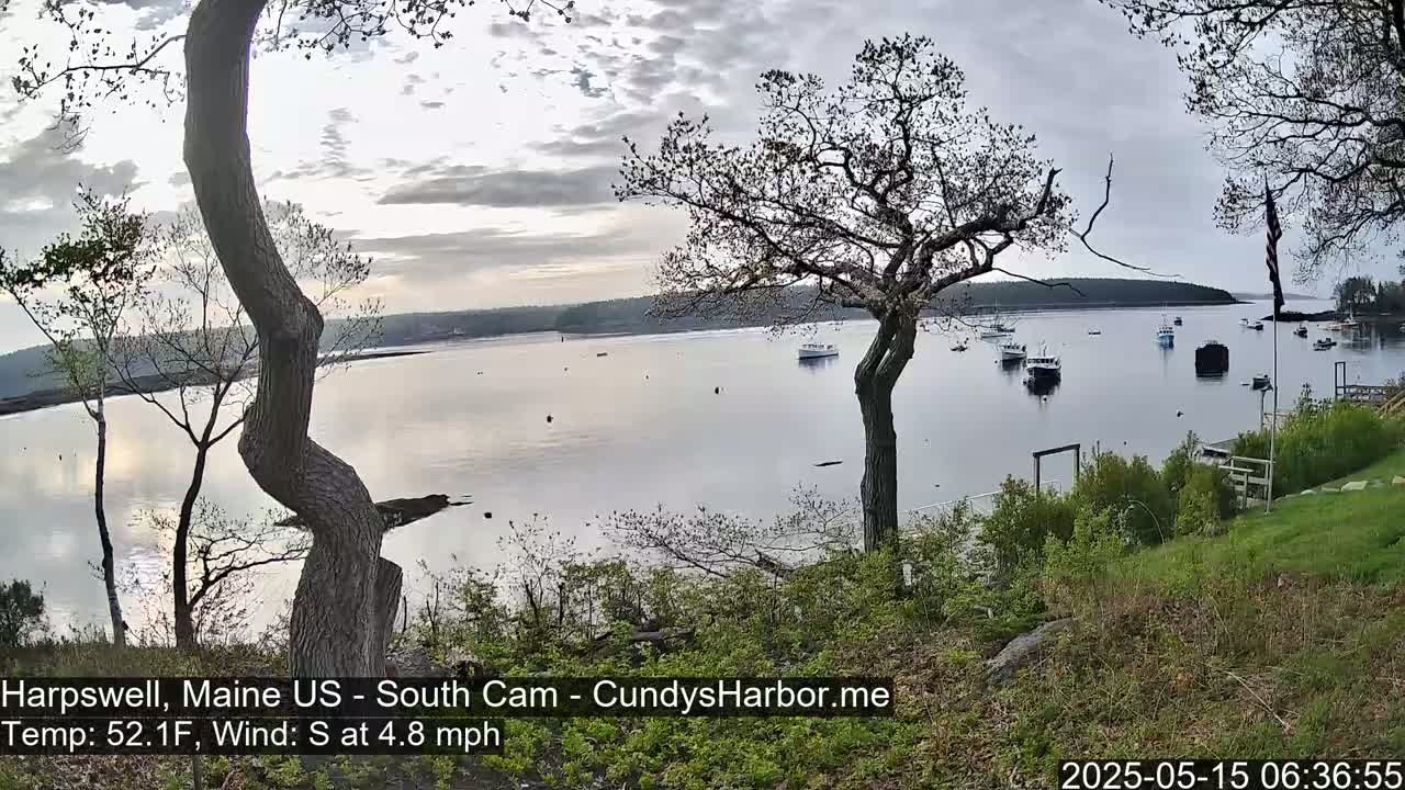A calm bay with several boats is viewed from a grassy hillside under a cloudy sky.