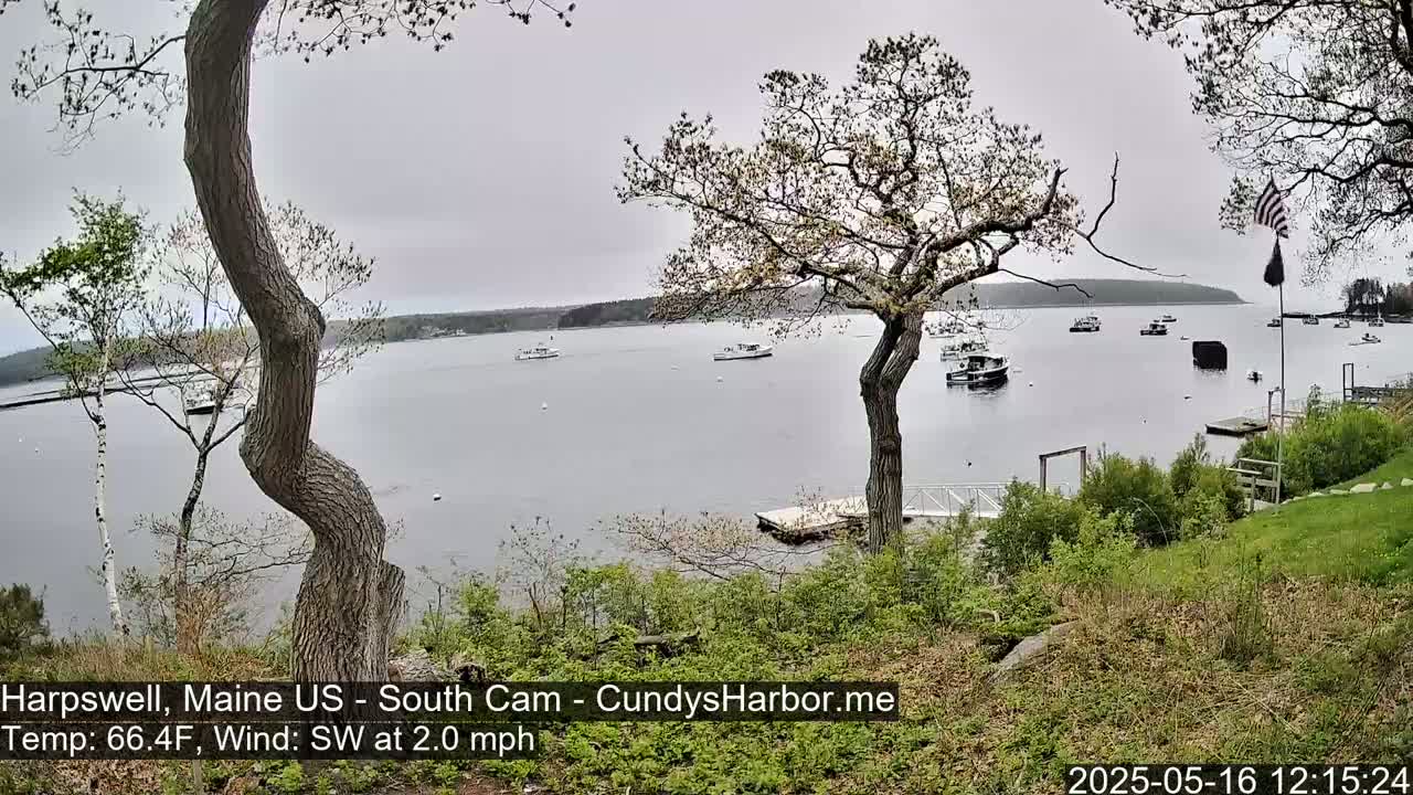 Several boats are visible on a calm, gray day in a harbor surrounded by trees and low-lying vegetation.