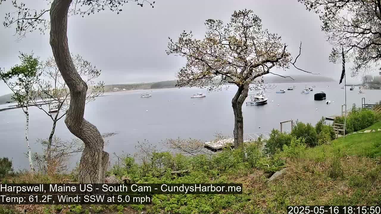 A calm, overcast day shows a harbor with several boats at anchor, viewed from a slightly elevated position amongst trees and green vegetation.