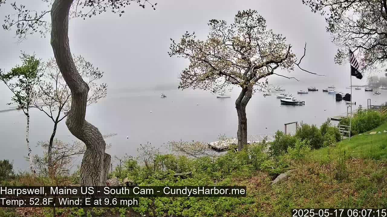 A foggy harbor scene shows several boats moored in calm water, viewed from a grassy hilltop overlooking the water, with trees in the foreground.