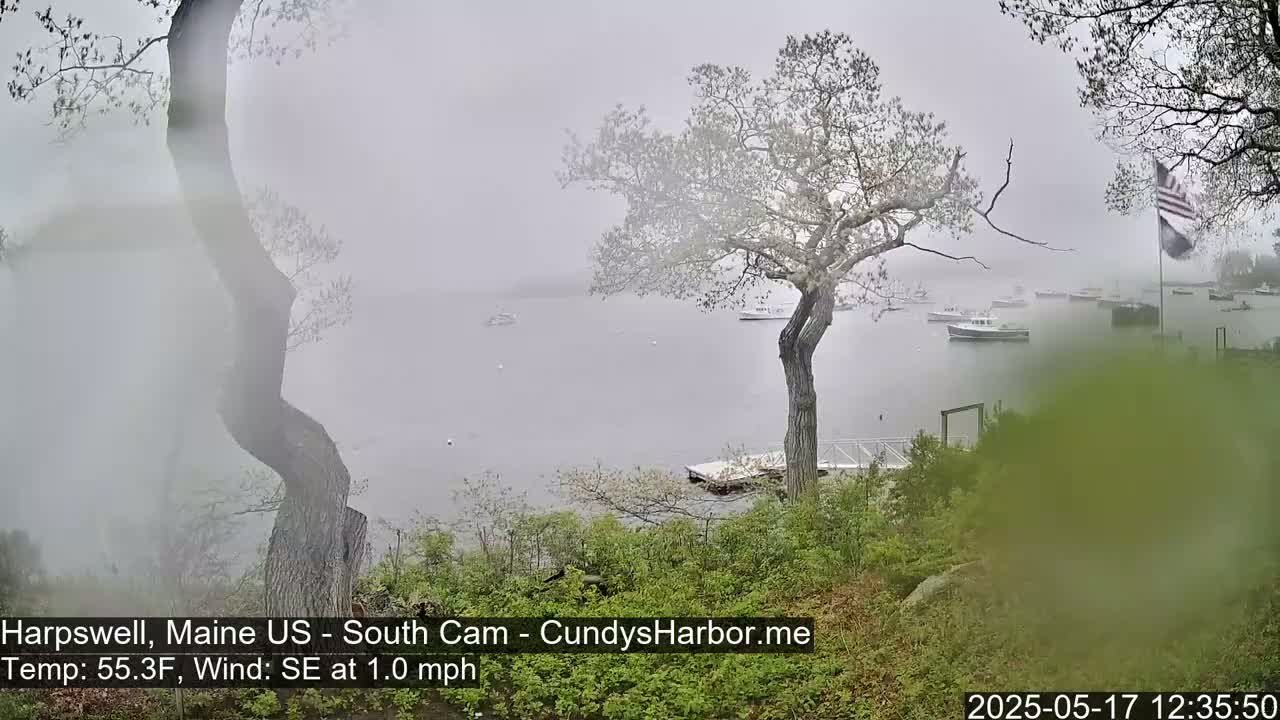 A foggy harbor scene shows several boats on the water, viewed from a shoreline with trees and bushes in the foreground, under a light Southeast wind.