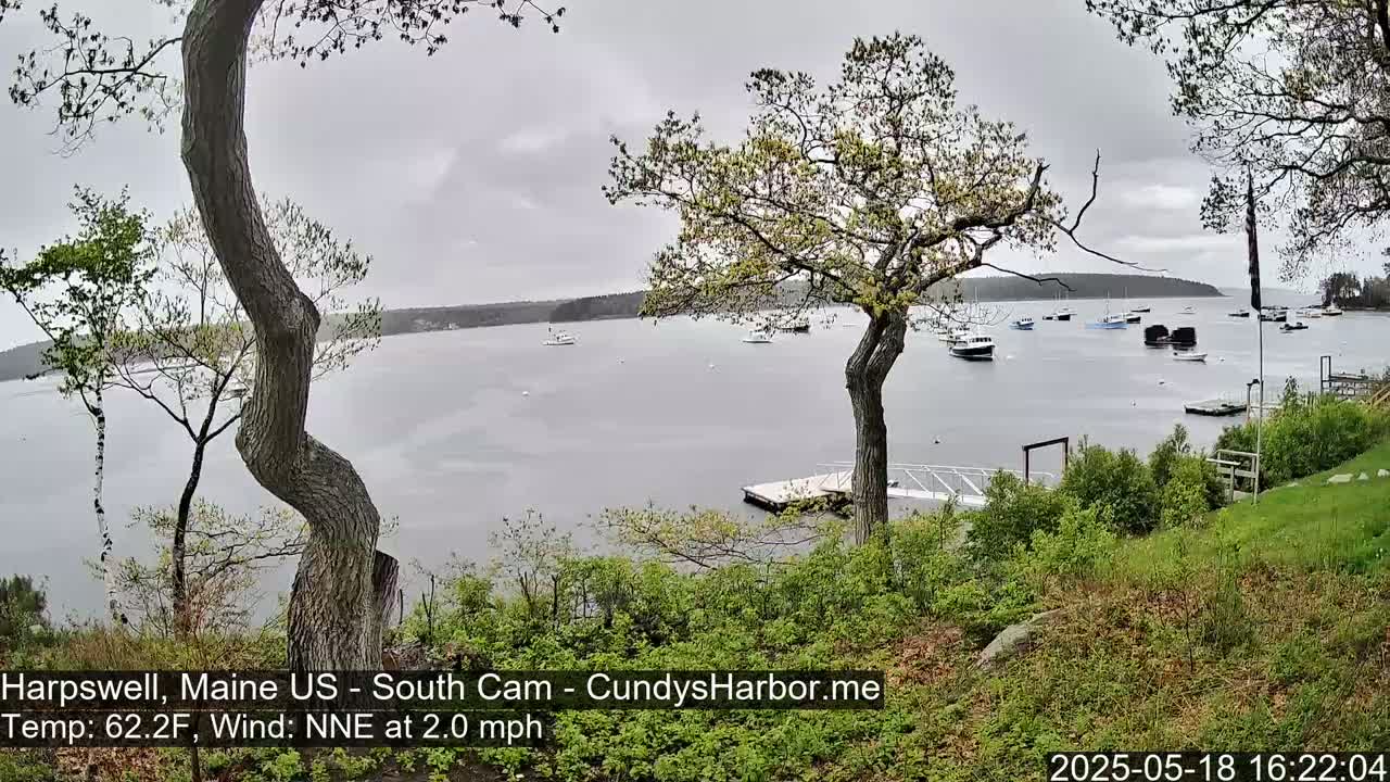 A calm, overcast day shows a body of water with several boats, viewed from a grassy hillside with trees and a small dock in the foreground.