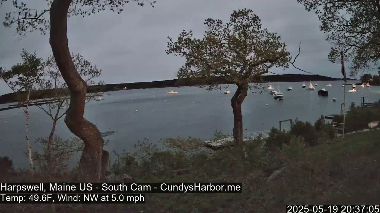 Numerous boats are moored in a calm harbor under a gray, overcast sky.