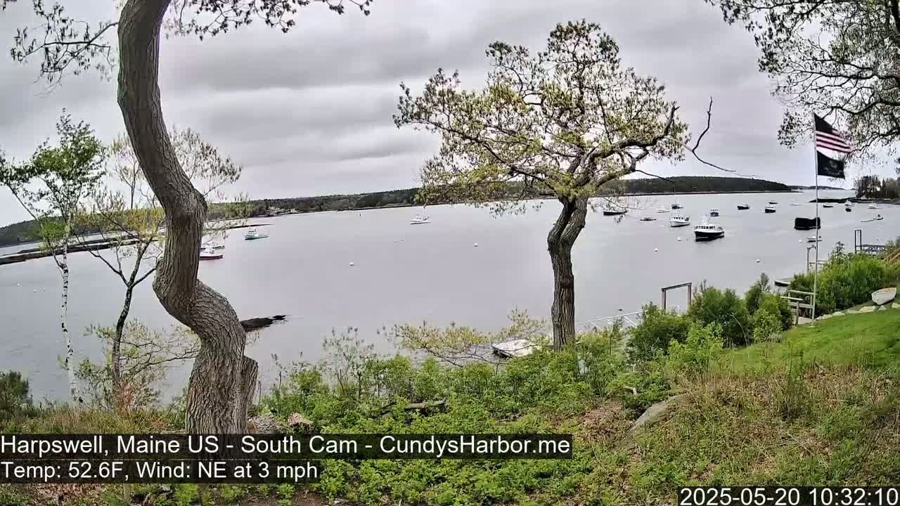 A calm body of water with several boats is viewed from a grassy hilltop on an overcast day, with trees in the foreground and a flagpole with an American flag visible in the distance.