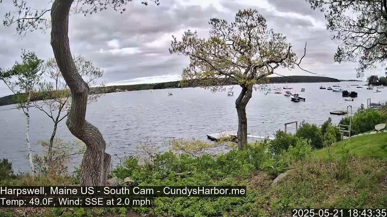 A calm body of water with numerous boats is viewed from a grassy shoreline under a cloudy sky, with several trees framing the scene.