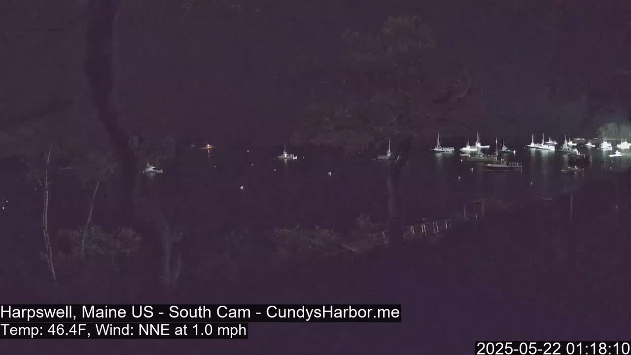 Several boats are moored in a dark harbor at night under a clear sky with a light north-northeast wind.