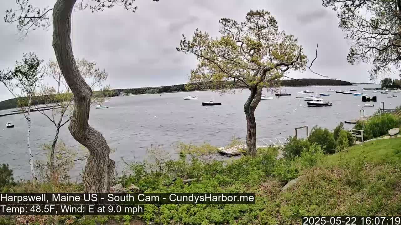 A calm bay with numerous boats is viewed from a grassy shoreline under an overcast sky.