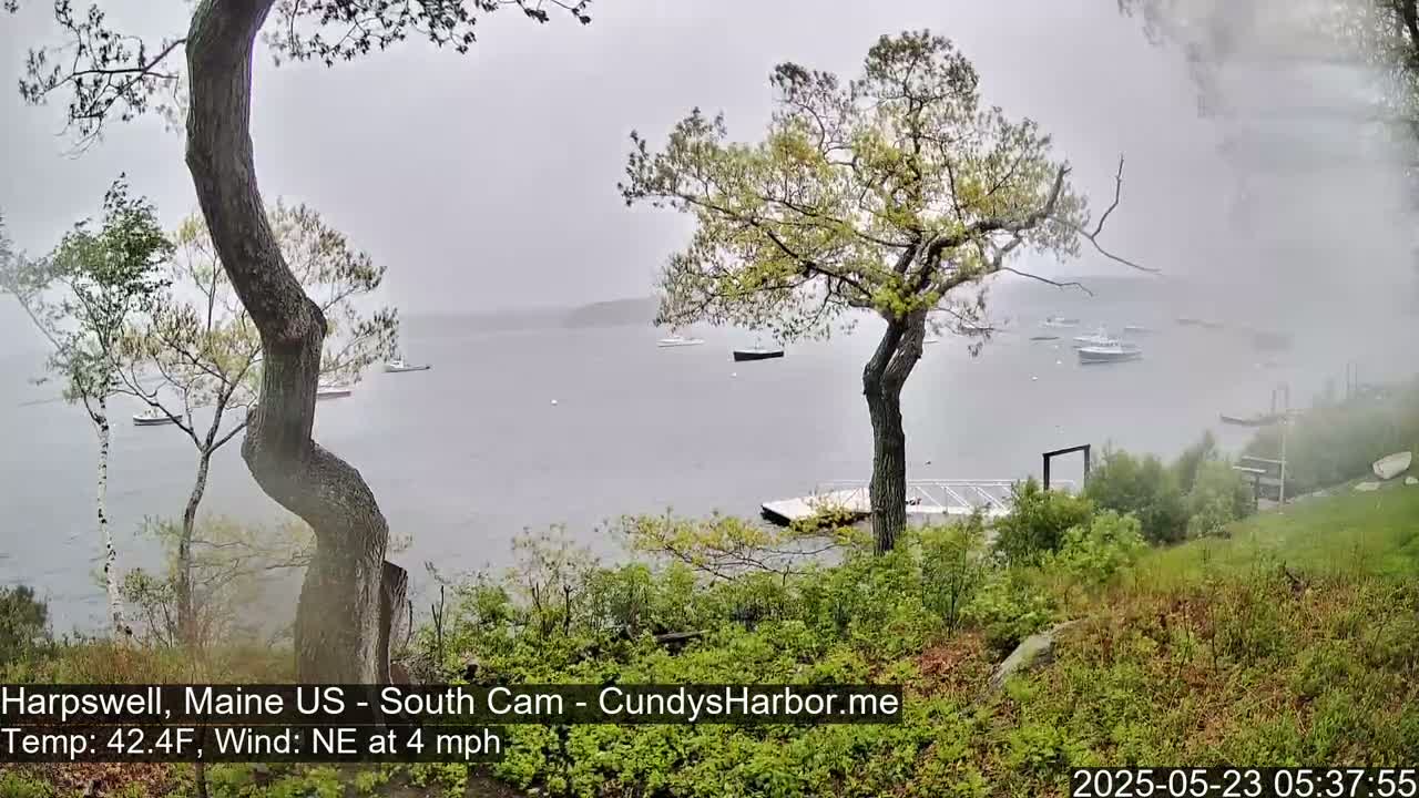 A foggy, overcast scene shows several boats on a calm body of water, viewed from a slightly elevated vantage point with trees and vegetation in the foreground.