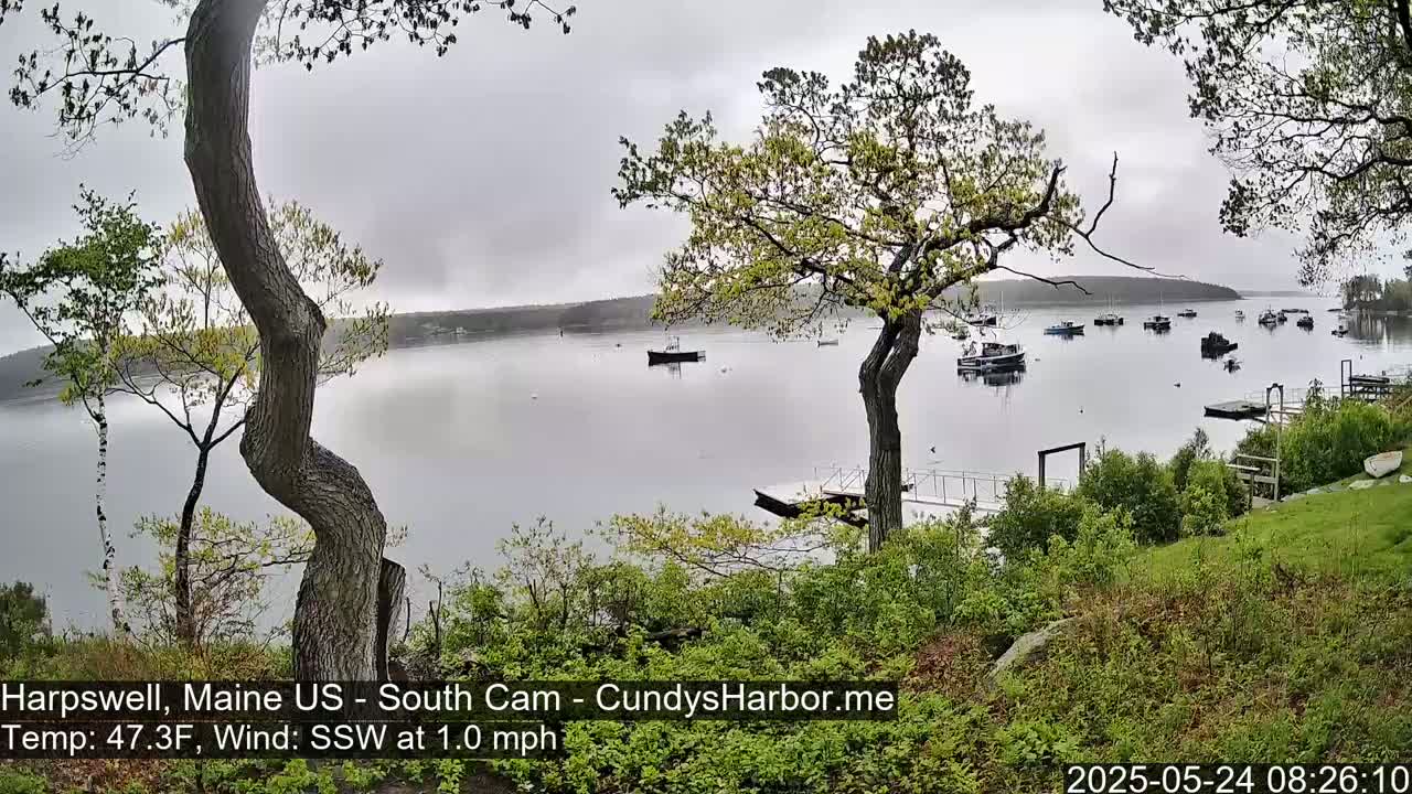 A calm, overcast day shows a body of water with several boats, viewed from a grassy shoreline with trees in the foreground.