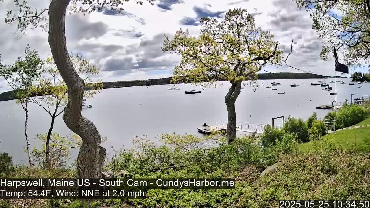 A partly cloudy day shows a calm body of water with several boats, viewed from a grassy area with trees and a small dock in the foreground.