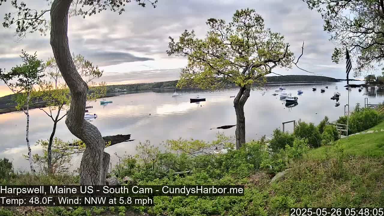 Several boats are moored in a calm bay under an overcast sky, viewed from a grassy hill overlooking the water.