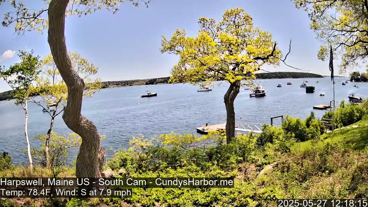 Several boats are moored in a calm bay under a sunny sky, viewed from a grassy shoreline with trees in the foreground.