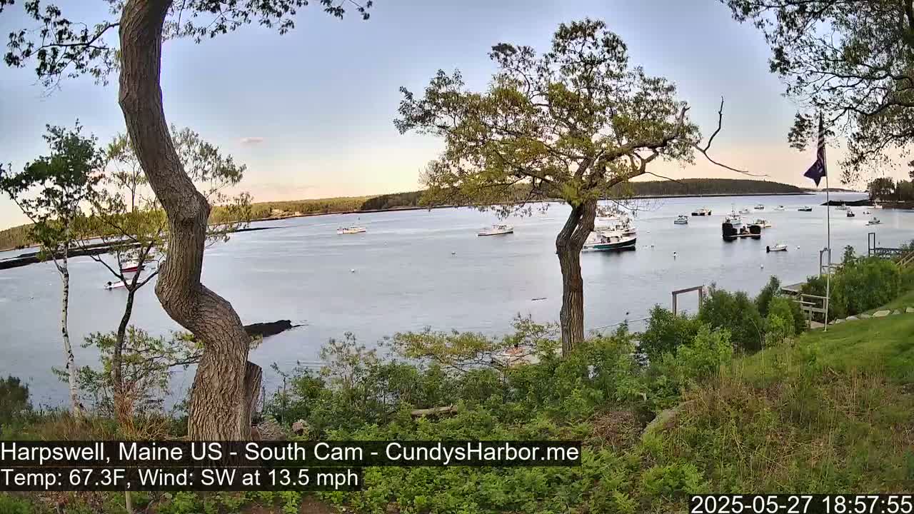 Several boats are moored in a calm bay under a clear, light-blue sky, viewed from a grassy hillside with trees in the foreground.