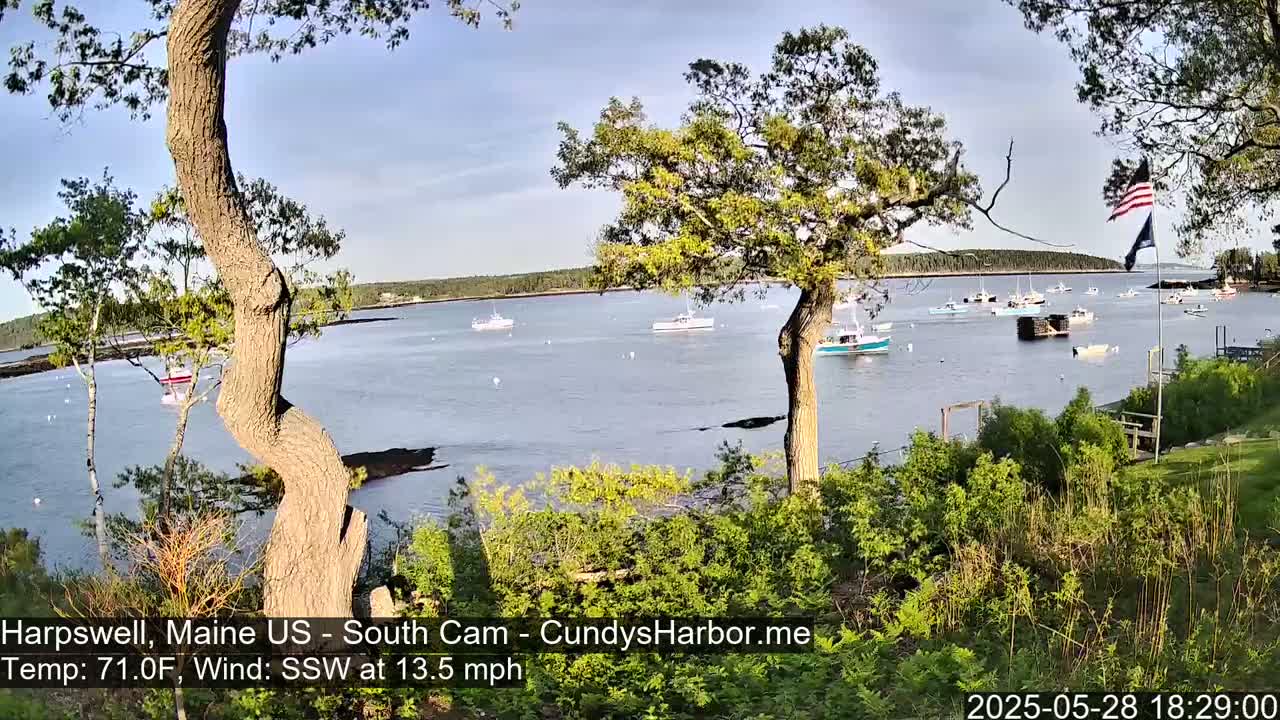 A calm bay with numerous boats is viewed from a slightly elevated vantage point on a partly sunny day with a 13.5 mph wind from the south-southwest.