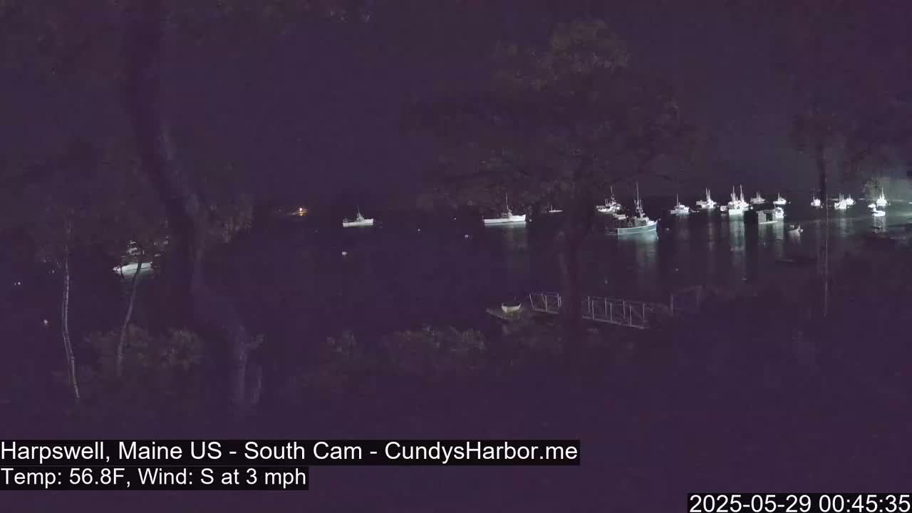 Many boats are moored in a calm harbor at night.