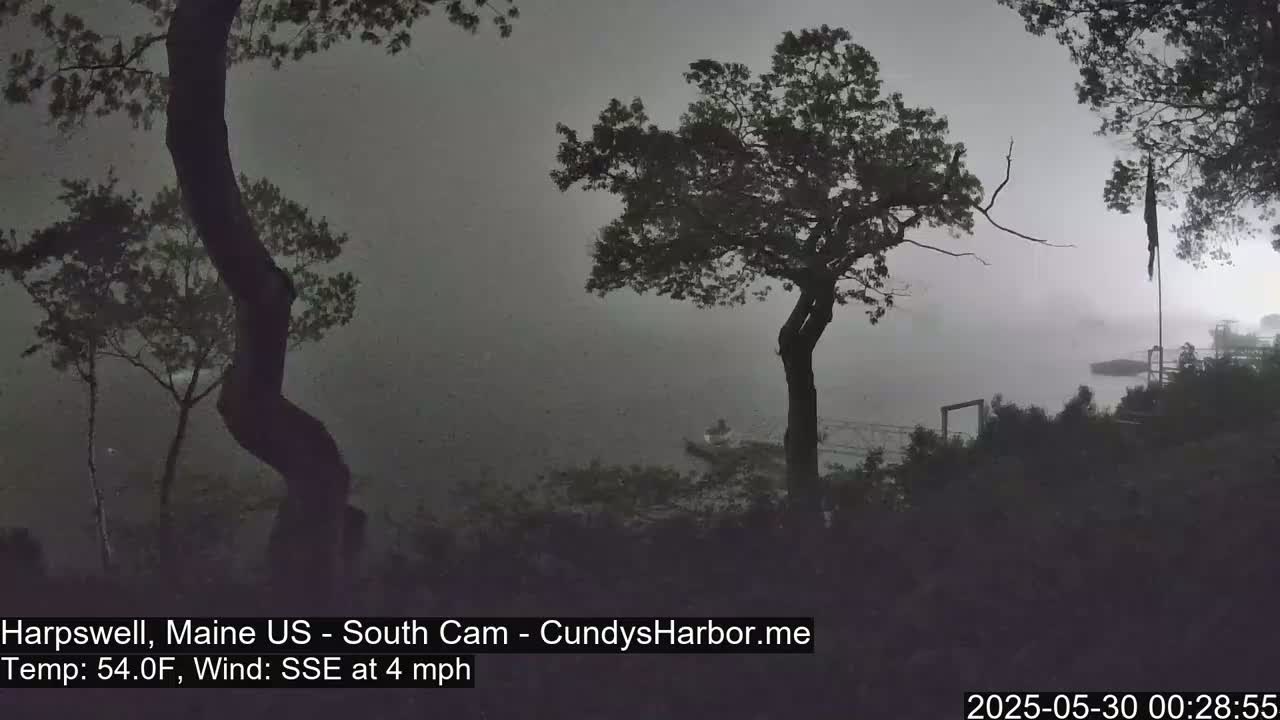 A foggy, gray scene shows silhouetted trees overlooking a calm body of water, with a gentle wind blowing from the southeast.