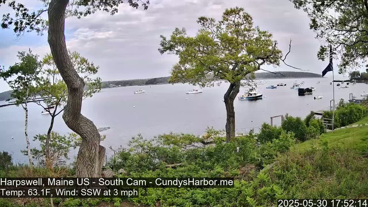 A calm, overcast day shows a view of a harbor with numerous boats, seen from a grassy area with trees in the foreground.