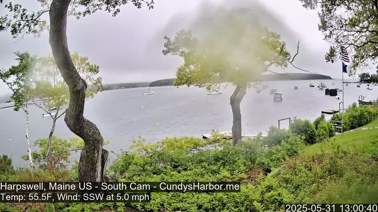 A view of a calm bay with several boats, seen from a grassy area with trees and shrubs under an overcast sky, with a gentle south-southwesterly wind.